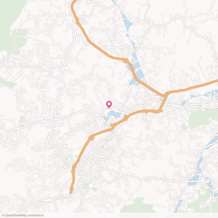 Map of the flower delivery area in Lake Junaluska, North Carolina