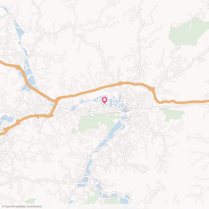 Map of the flower delivery area in West Canton, North Carolina