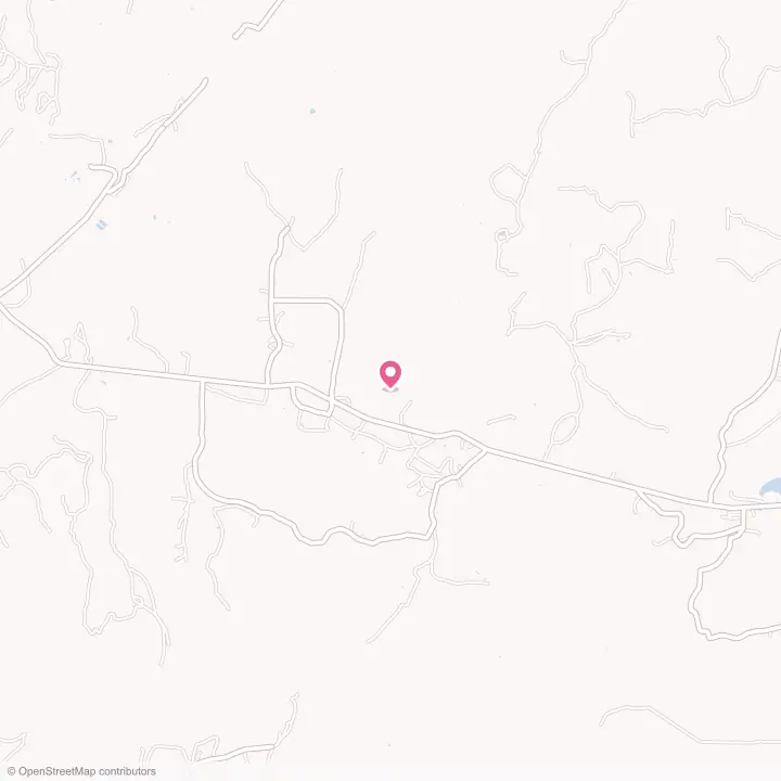 Map of the flower delivery area in Pinedale, New Mexico
