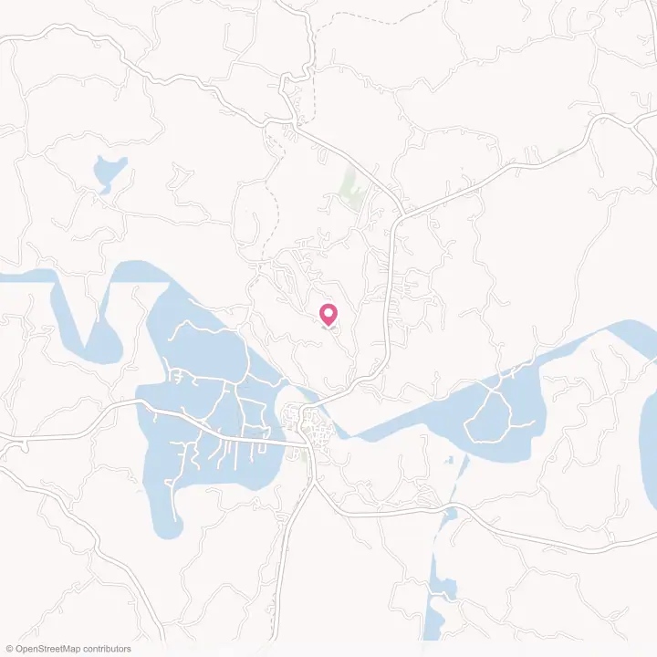 Map of the flower delivery area in Centerville, Tennessee