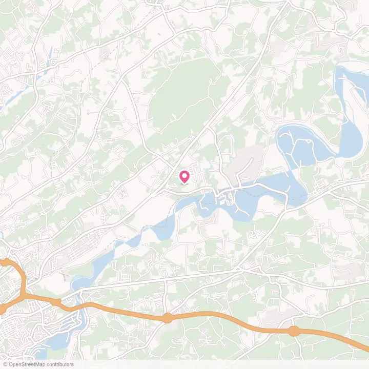 Map of the flower delivery area in Mascot, Tennessee