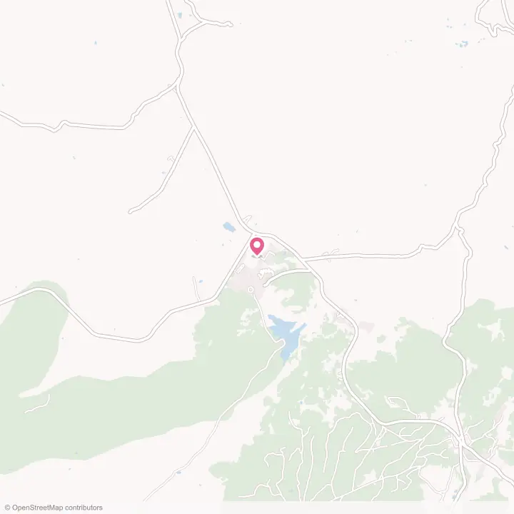 Map of the flower delivery area in Tsaile, Arizona