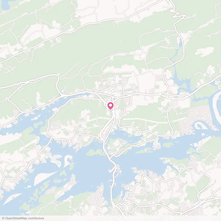 Map of the flower delivery area in Bean Station, Tennessee