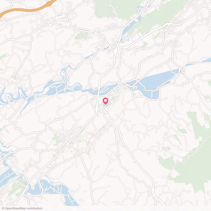 Map of the flower delivery area in Bluff City, Tennessee