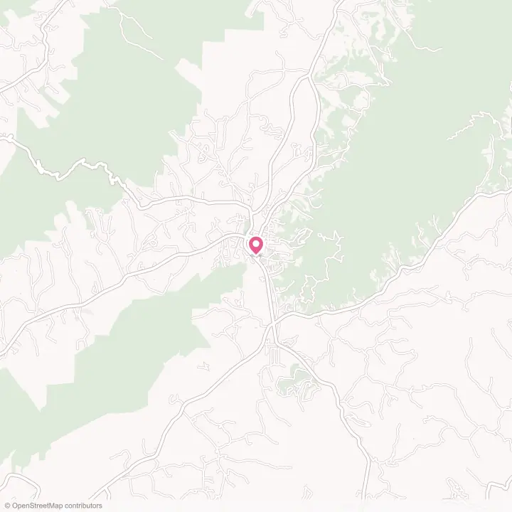 Map of the flower delivery area in Mountain City, Tennessee