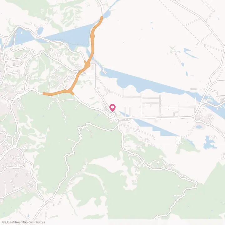 Map of the flower delivery area in San Juan Bautista, California