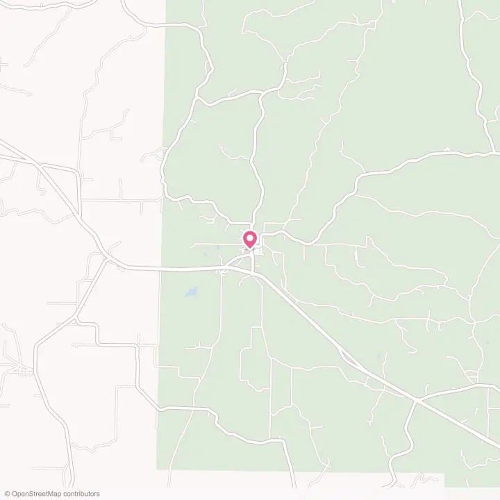 Map of the flower delivery area in Ellsinore, Missouri
