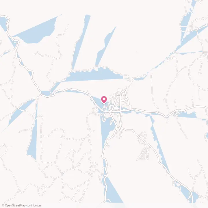 Map of the flower delivery area in Dulce, New Mexico