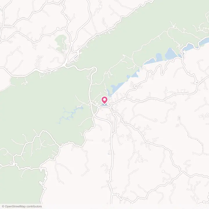 Map of the flower delivery area in Pound, Virginia