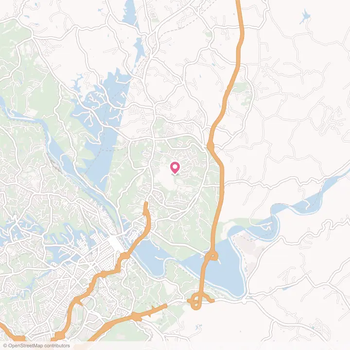 Map of the flower delivery area in Madison Heights, Virginia