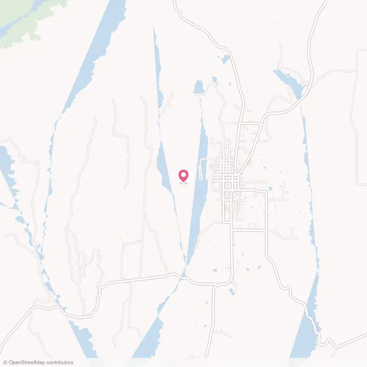 Map of the flower delivery area in Blanding, Utah
