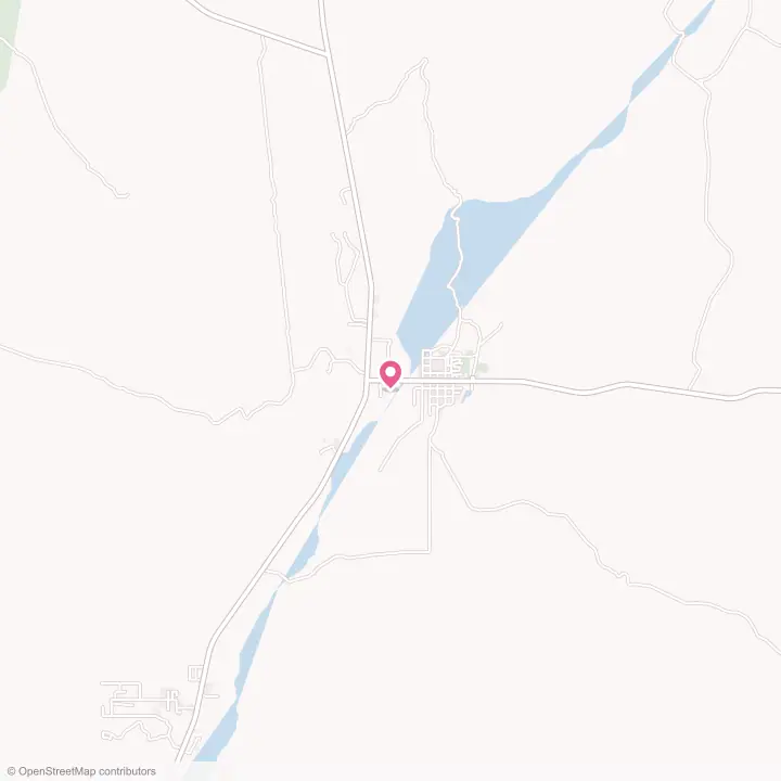 Map of the flower delivery area in Panaca, Nevada