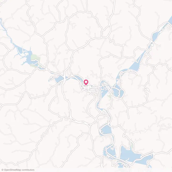 Map of the flower delivery area in Paintsville, Kentucky