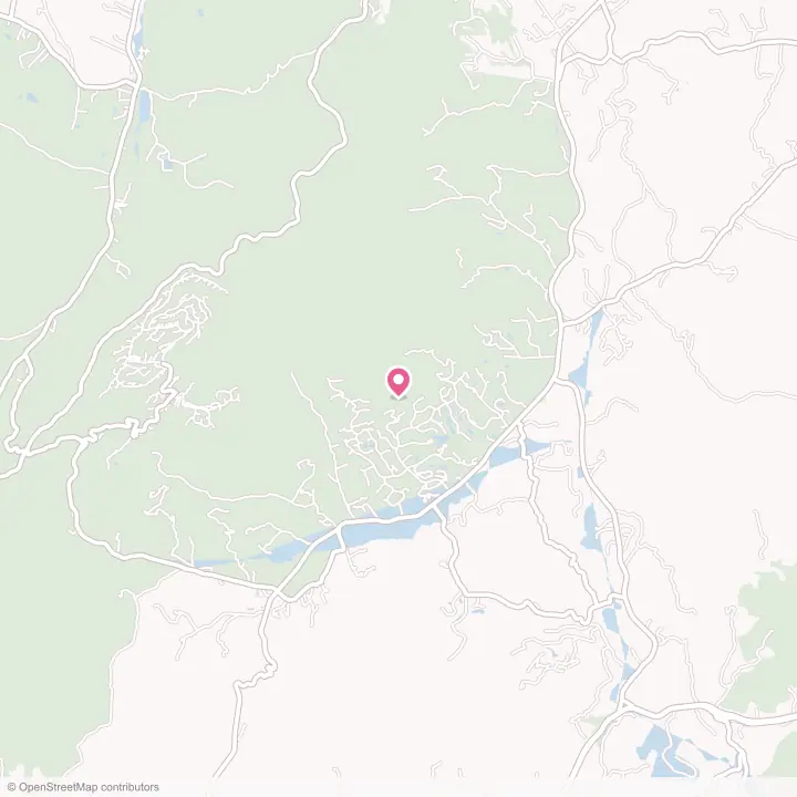 Map of the flower delivery area in Nellysford, Virginia