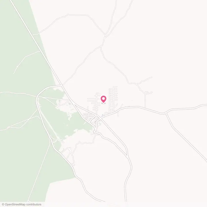 Map of the flower delivery area in Pioche, Nevada