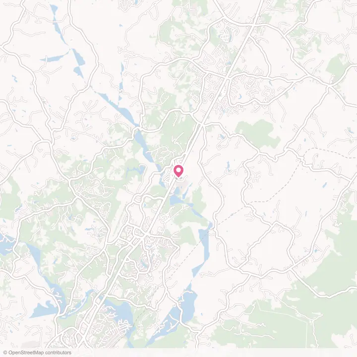 Map of the flower delivery area in Piney Mountain, Virginia