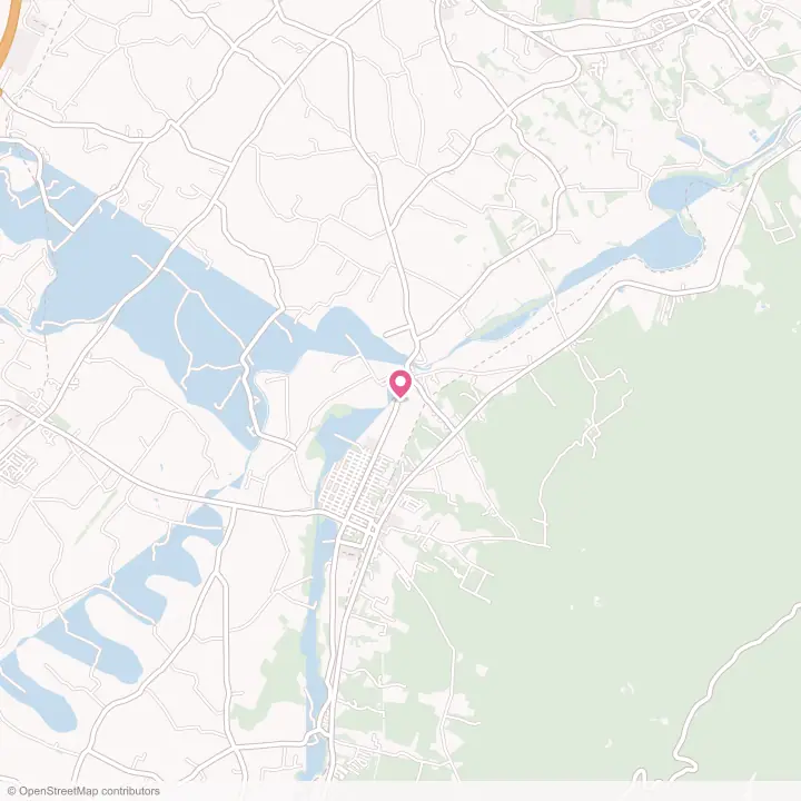 Map of the flower delivery area in Port Republic, Virginia