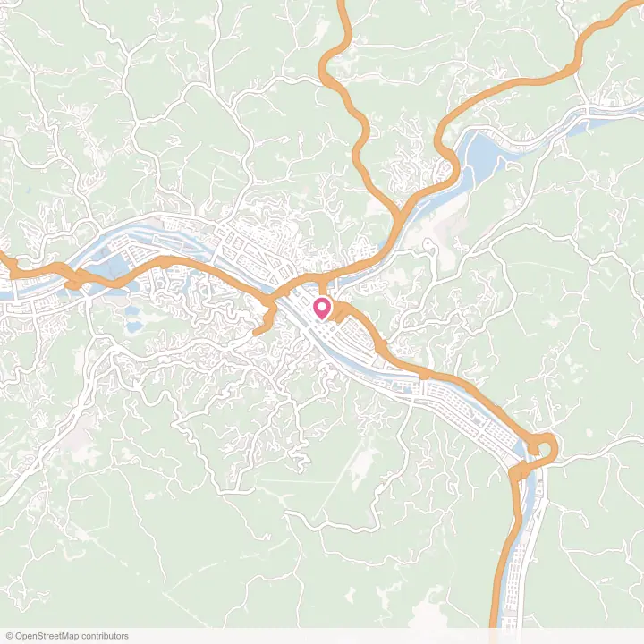 Map of the flower delivery area in Charleston, West Virginia