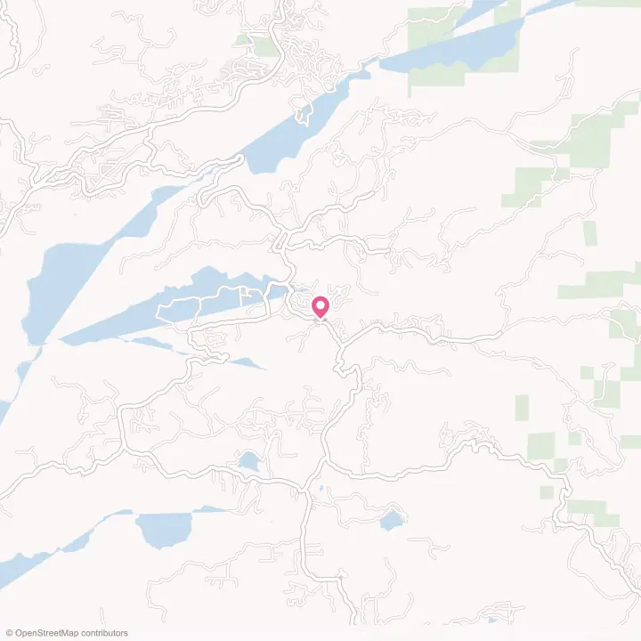 Map of the flower delivery area in Wilseyville, California