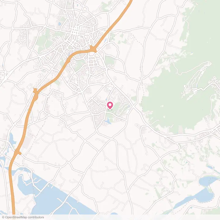 Map of the flower delivery area in Massanetta Springs, Virginia