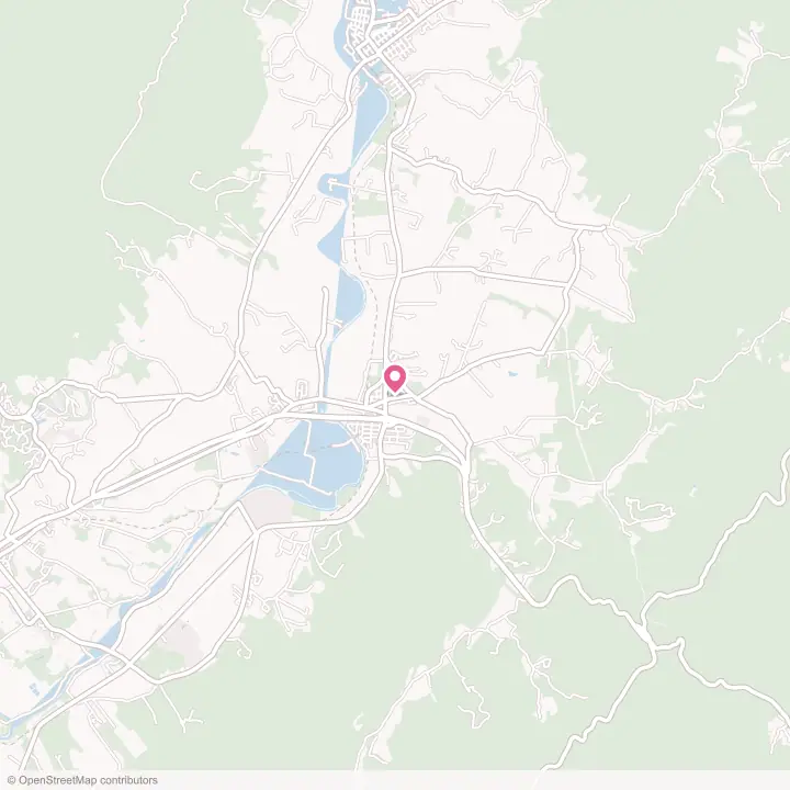 Map of the flower delivery area in Elkton, Virginia