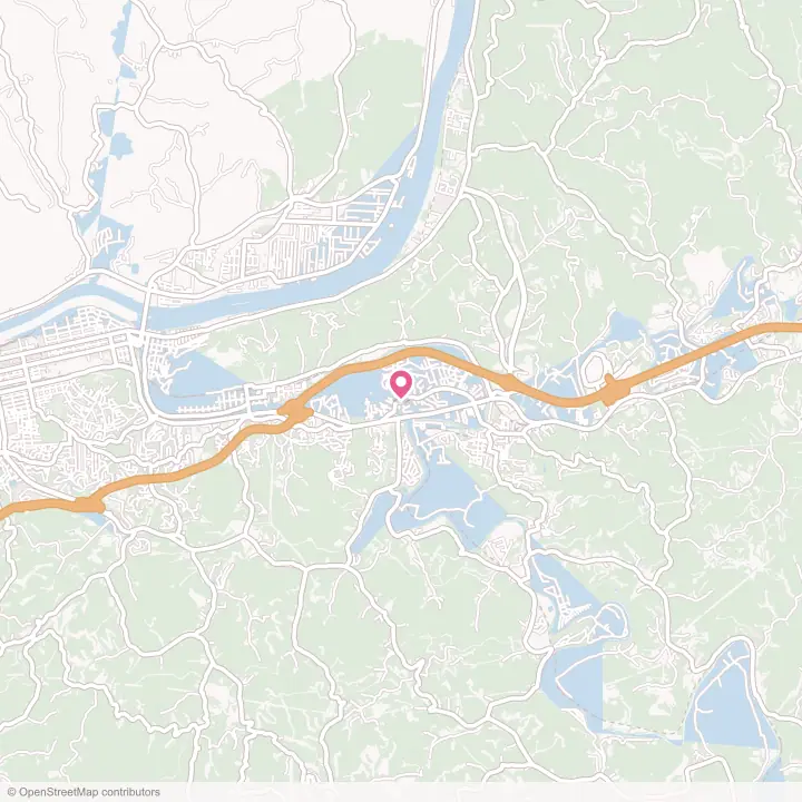 Map of the flower delivery area in Pea Ridge, West Virginia