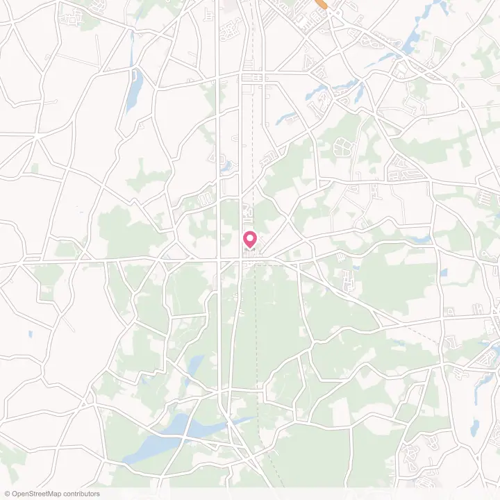 Map of the flower delivery area in Ellendale, Delaware