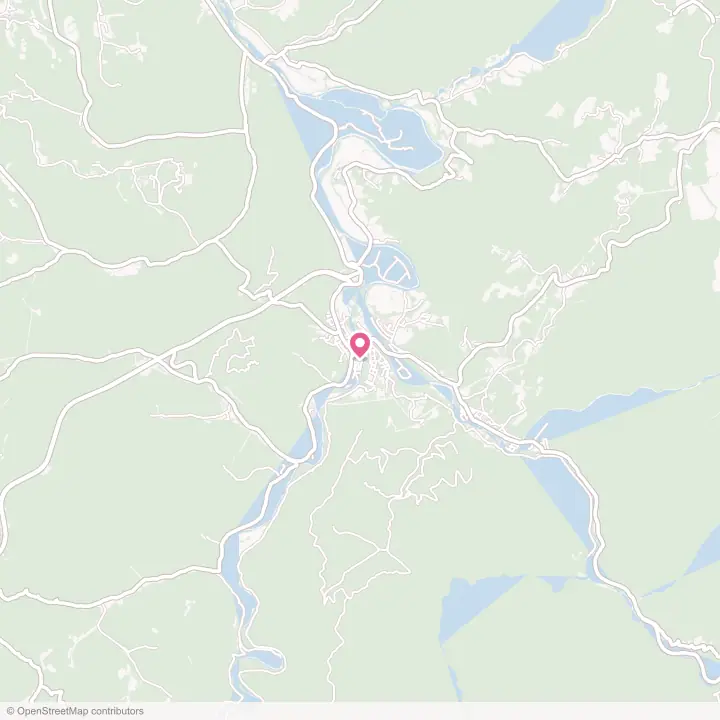 Map of the flower delivery area in Parsons, West Virginia