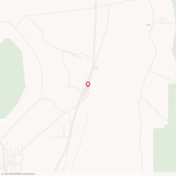 Map of the flower delivery area in McGill, Nevada