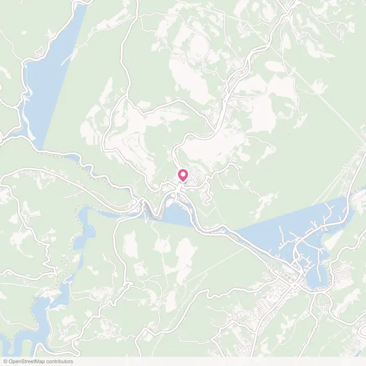 Map of the flower delivery area in Westernport, Maryland