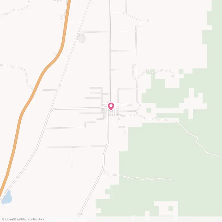 Map of the flower delivery area in Levan, Utah