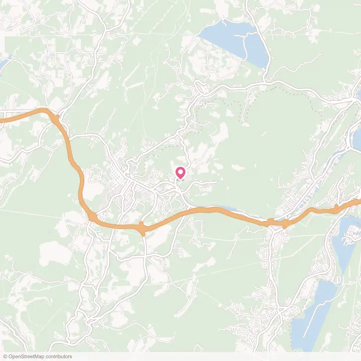 Map of the flower delivery area in Eckhart Mines, Maryland