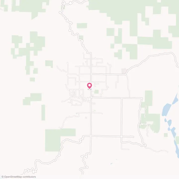 Map of the flower delivery area in Covelo, California