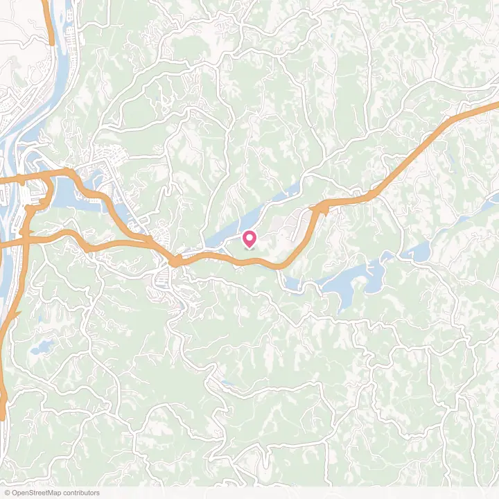 Map of the flower delivery area in Triadelphia, West Virginia