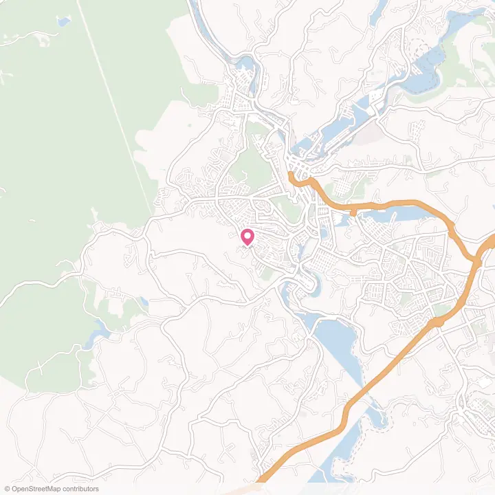 Map of the flower delivery area in Elim, Pennsylvania