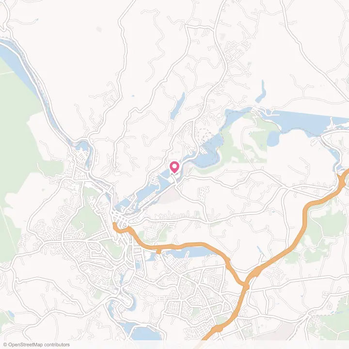 Map of the flower delivery area in East Conemaugh, Pennsylvania