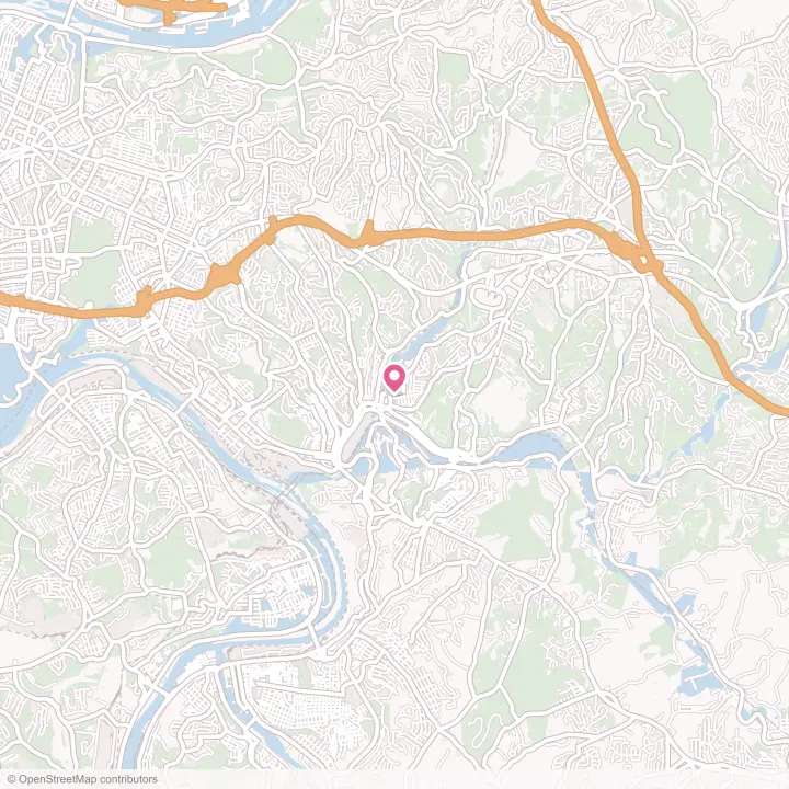Map of the flower delivery area in Turtle Creek, Pennsylvania