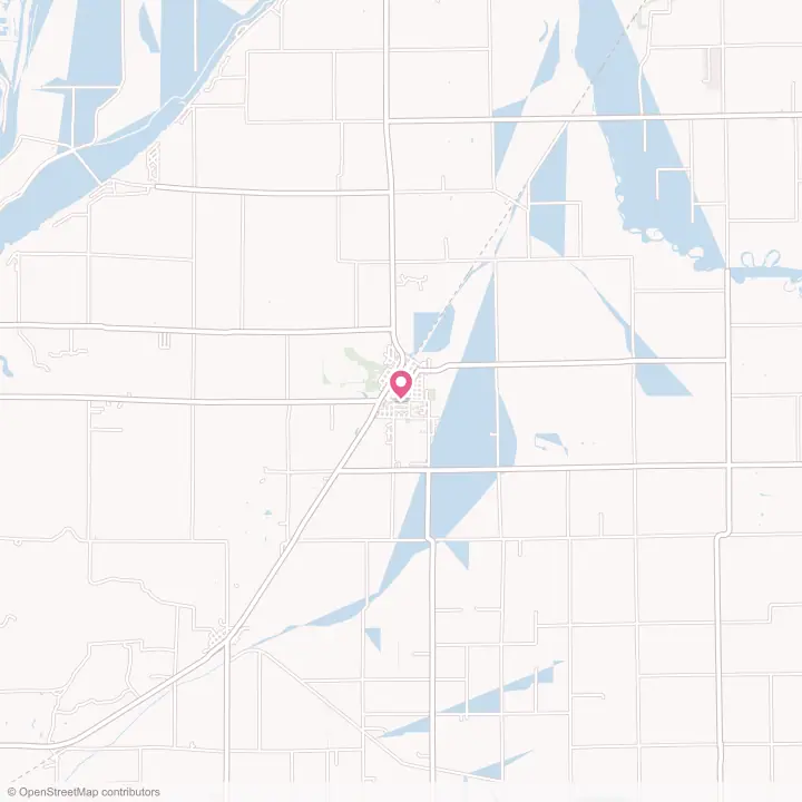 Map of the flower delivery area in Manito, Illinois