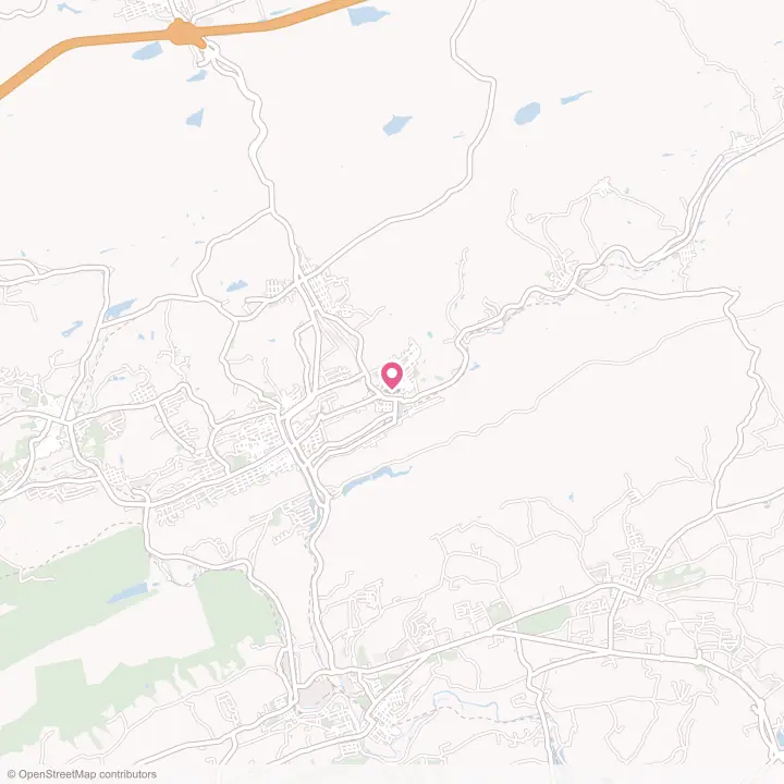 Map of the flower delivery area in Port Carbon, Pennsylvania