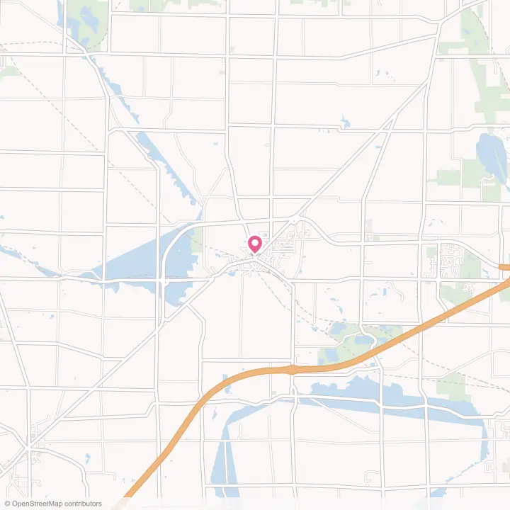 Map of the flower delivery area in Lodi, Ohio