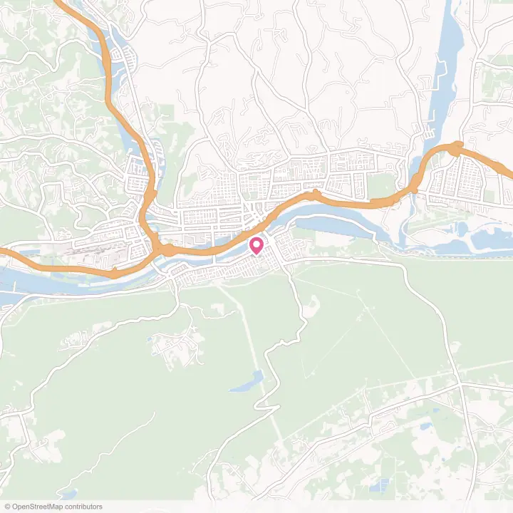 Map of the flower delivery area in South Williamsport, Pennsylvania