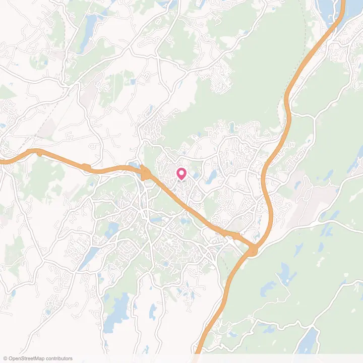 Map of the flower delivery area in Kiryas Joel, New York