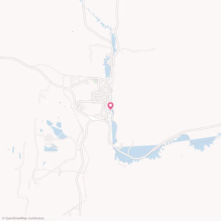 Map of the flower delivery area in Diamondville, Wyoming