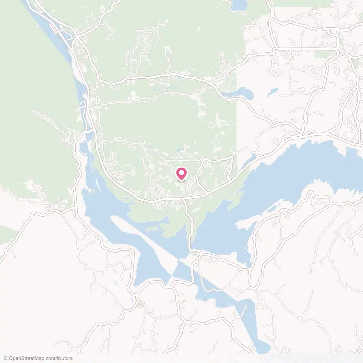 Map of the flower delivery area in Shokan, New York