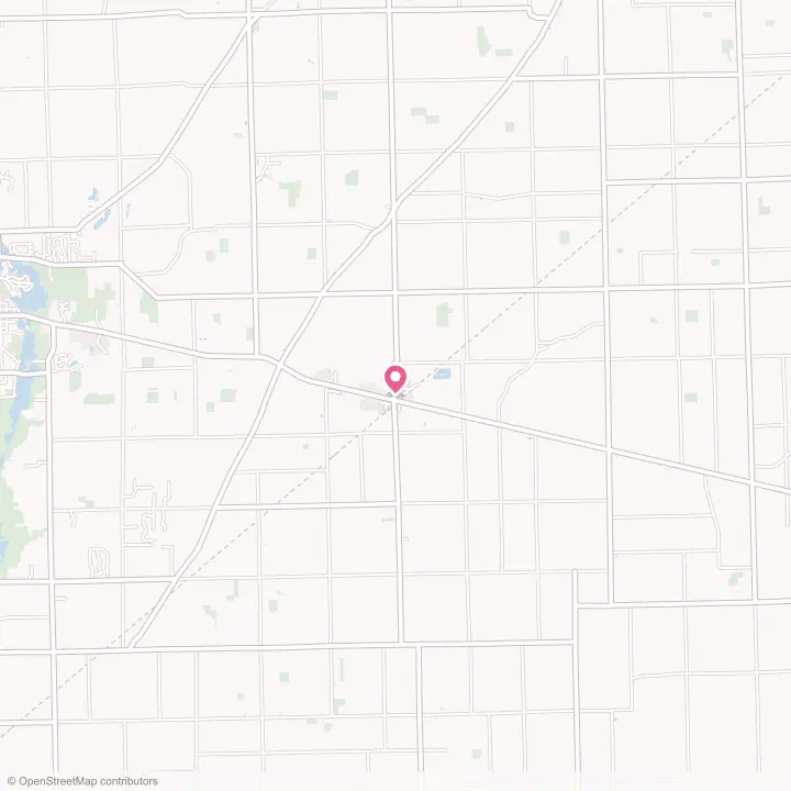 Map of the flower delivery area in Britton, Michigan