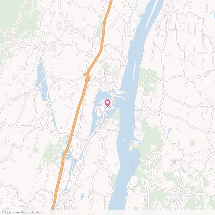 Map of the flower delivery area in Saugerties South, New York