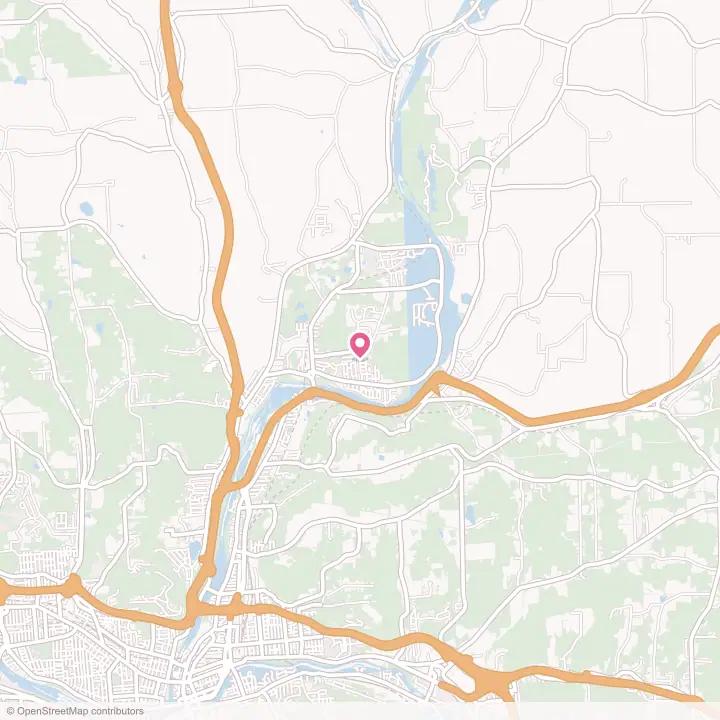 Map of the flower delivery area in Chenango Bridge, New York