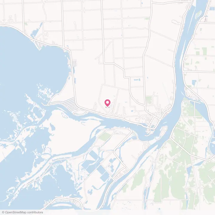 Map of the flower delivery area in Pearl Beach, Michigan