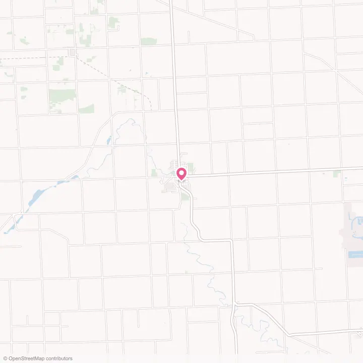 Map of the flower delivery area in Yale, Michigan