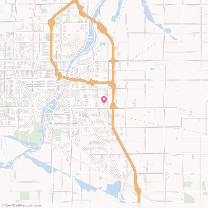 Map of the flower delivery area in Buena Vista, Michigan